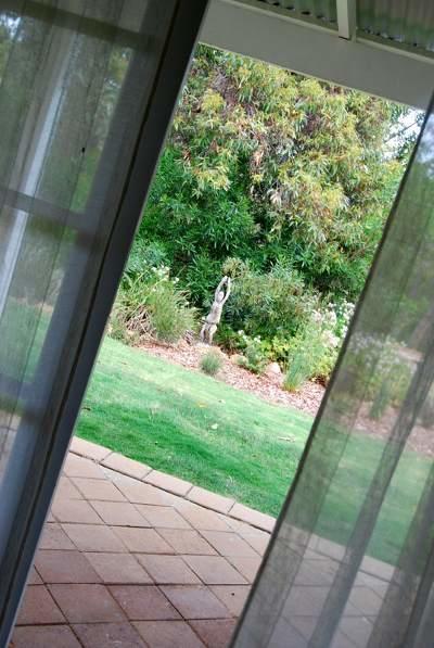 Llewellin'S Guest House Margaret River Dış mekan fotoğraf